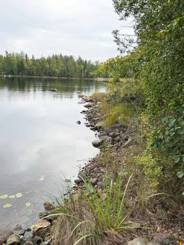 Presqu’île non bâtie 1,38 ha sur le Saimaa (Louhivesi), rive dans plusieurs directions, plan de rive 150 m² — Ristiina / Mikkeli — 5
