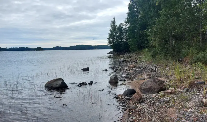 Terrain ~1 ha, ~60 m de rive Saimaa Yövesi, droit 160 k-m² (RA) — Haapiala / Mikkeli — 3