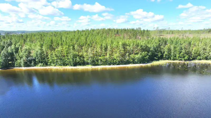 Terrain ~1 ha, ~60 m de rive Saimaa Yövesi, droit 160 k-m² (RA) — Haapiala / Mikkeli — 10