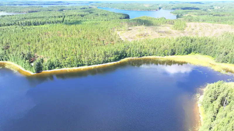 Terrain ~1 ha, ~60 m de rive Saimaa Yövesi, droit 160 k-m² (RA) — Haapiala / Mikkeli — 12