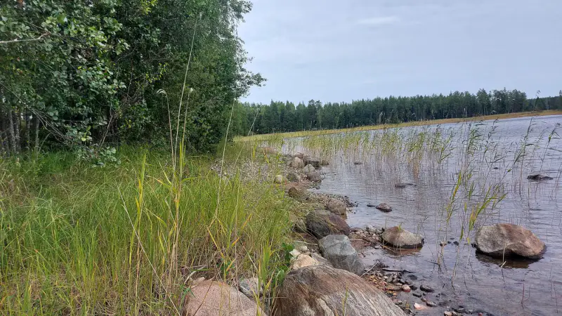 Terrain ~1 ha, ~60 m de rive Saimaa Yövesi, droit 160 k-m² (RA) — Haapiala / Mikkeli — 6