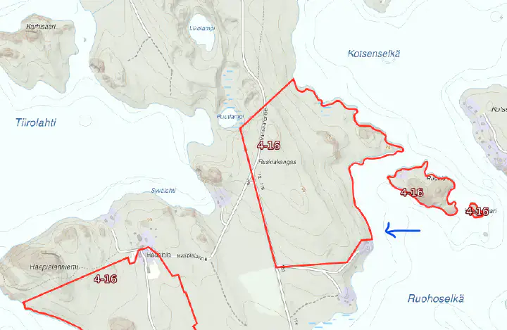 Terrain ~1 ha, ~60 m de rive Saimaa Yövesi, droit 160 k-m² (RA) — Haapiala / Mikkeli — 11