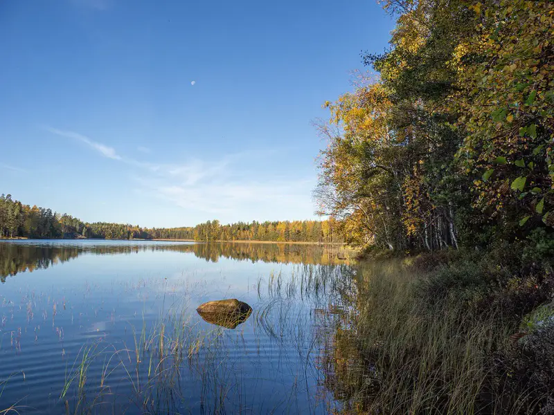 Deux terrains rive ~3 000 m² chacun (6 000 m²), Härkäjärvi — Suomenniemi / Mikkeli — 2