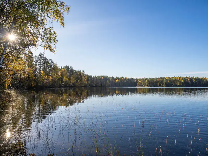 Deux terrains rive ~3 000 m² chacun (6 000 m²), Härkäjärvi — Suomenniemi / Mikkeli — 6