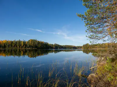 Deux terrains rive ~3 000 m² chacun (6 000 m²), Härkäjärvi — Suomenniemi / Mikkeli — 1