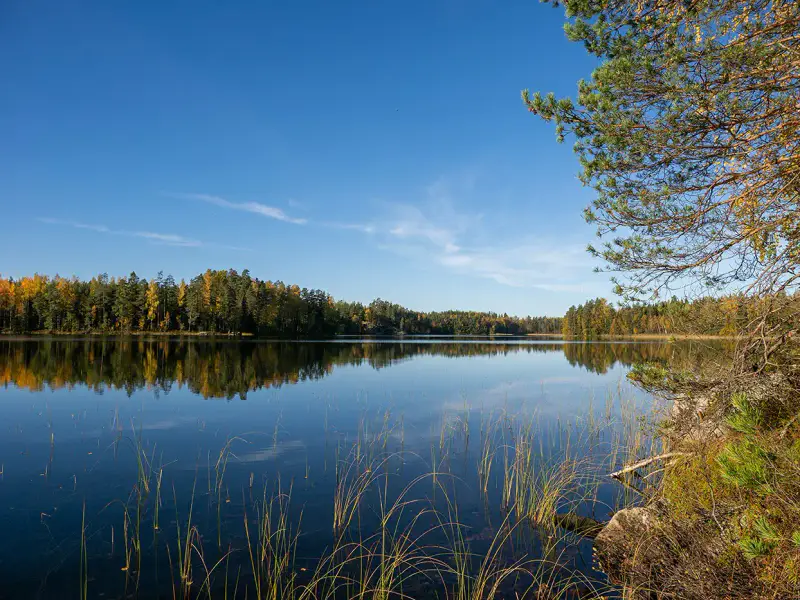Deux terrains rive ~3 000 m² chacun (6 000 m²), Härkäjärvi — Suomenniemi / Mikkeli — 1