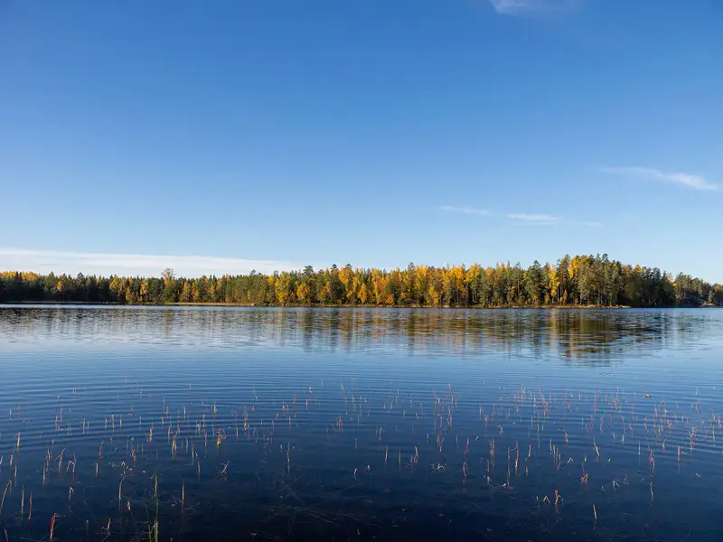 Deux terrains rive ~3 000 m² chacun (6 000 m²), Härkäjärvi — Suomenniemi / Mikkeli — 7