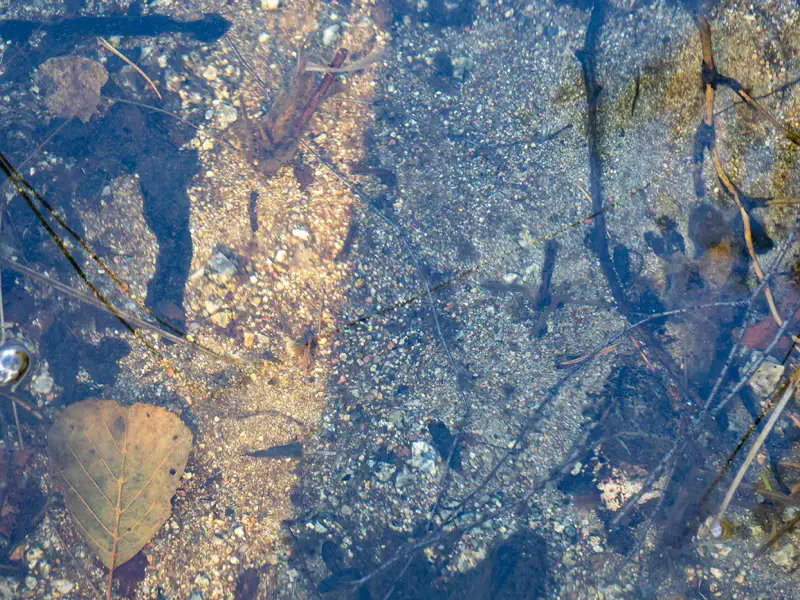 Deux terrains rive ~3 000 m² chacun (6 000 m²), Härkäjärvi — Suomenniemi / Mikkeli — 5