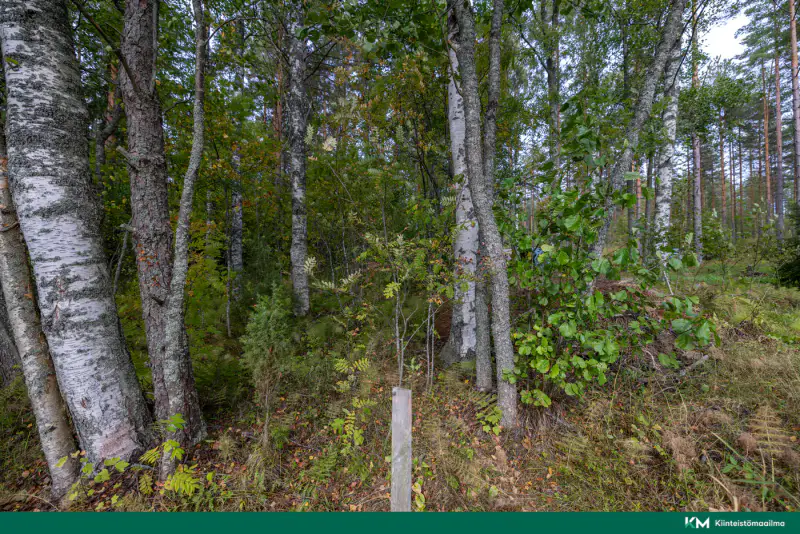 Terrain constructible ~6 358 m² (RA ≤250 k-m²), rive sud Saimaa — Anttola / Mikkeli — 14