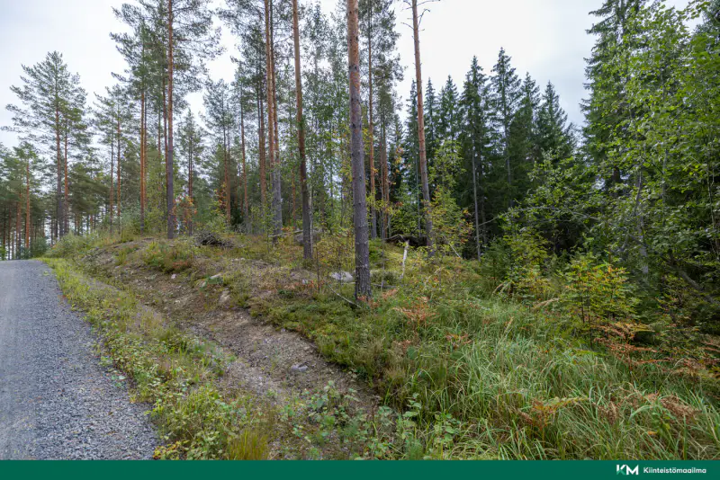 Terrain constructible ~6 358 m² (RA ≤250 k-m²), rive sud Saimaa — Anttola / Mikkeli — 10
