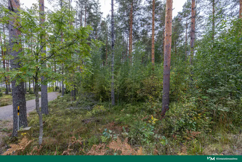 Terrain constructible ~6 358 m² (RA ≤250 k-m²), rive sud Saimaa — Anttola / Mikkeli — 11