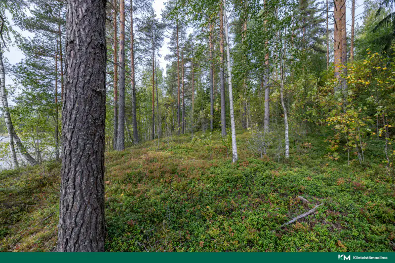 Terrain constructible ~6 358 m² (RA ≤250 k-m²), rive sud Saimaa — Anttola / Mikkeli — 7