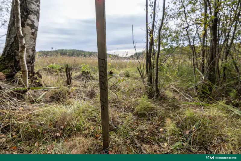 Terrain constructible ~6 358 m² (RA ≤250 k-m²), rive sud Saimaa — Anttola / Mikkeli — 6
