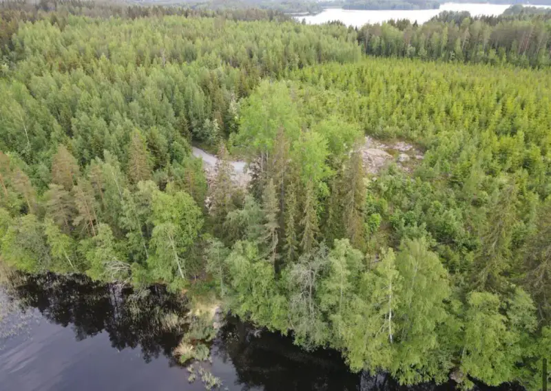 Terrain constructible Saimaa 4 550 m², droits ~232 m², élec prête — Helppanala / Mikkeli — 10
