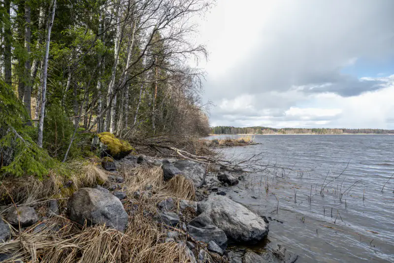 Terrain constructible Saimaa 4 550 m², droits ~232 m², élec prête — Helppanala / Mikkeli — 15