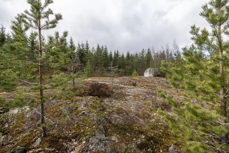 Terrain constructible Saimaa 4 550 m², droits ~232 m², élec prête — Helppanala / Mikkeli — 11