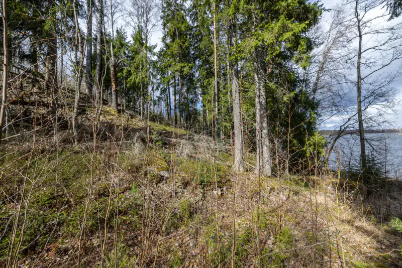 Terrain constructible Saimaa 4 550 m², droits ~232 m², élec prête — Helppanala / Mikkeli — 14