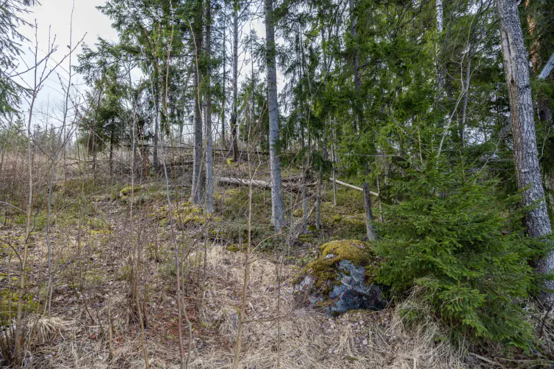 Terrain constructible Saimaa 4 550 m², droits ~232 m², élec prête — Helppanala / Mikkeli — 13