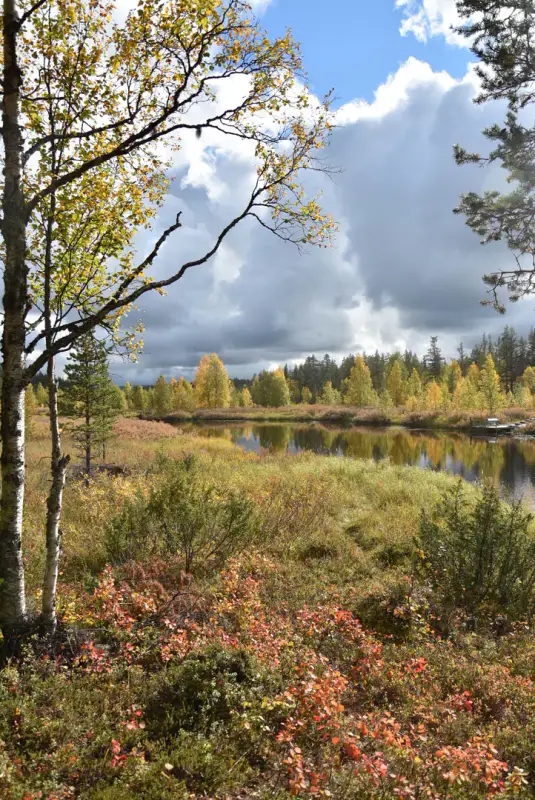 Mökki nature ~21 m², 16,3 ha, rive Tiuramatala — Muonio — 14