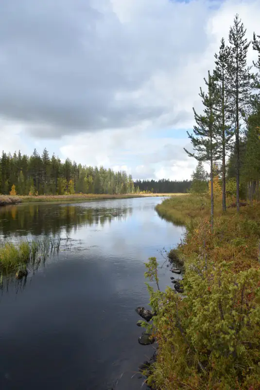 Mökki nature ~21 m², 16,3 ha, rive Tiuramatala — Muonio — 13