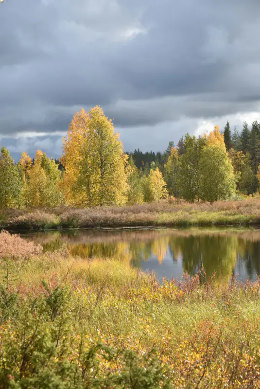 Mökki nature ~21 m², 16,3 ha, rive Tiuramatala — Muonio — 12
