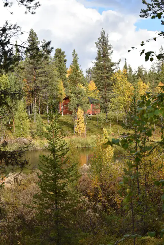 Mökki nature ~21 m², 16,3 ha, rive Tiuramatala — Muonio — 16