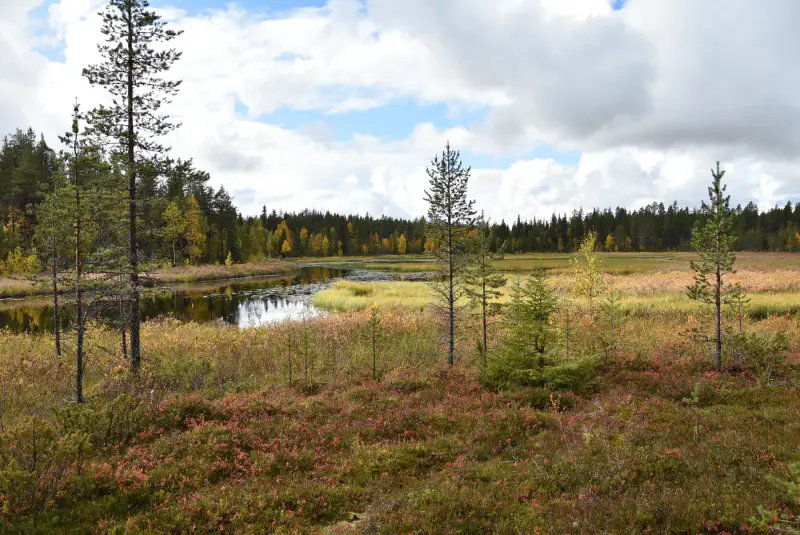 Mökki nature ~21 m², 16,3 ha, rive Tiuramatala — Muonio — 15