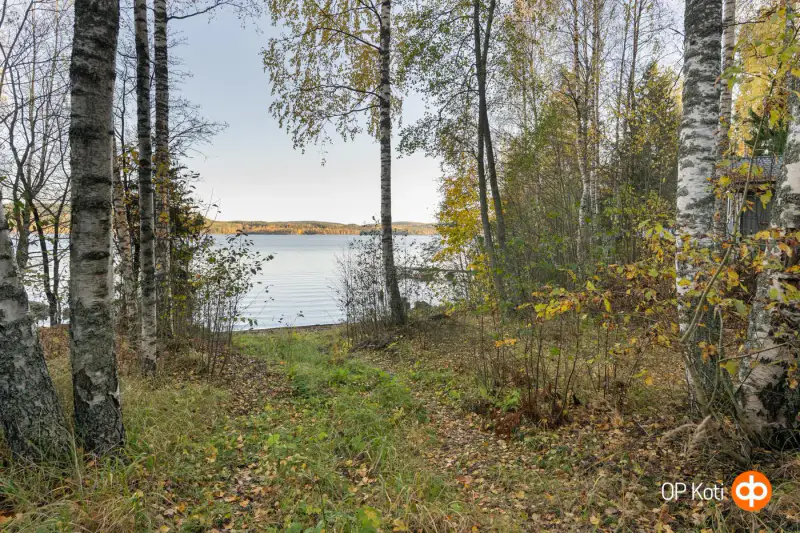 Terrain constructible de 13 982 m² avec rive Päijänne (~23 m) — Muuratsalo / Muurame — 8