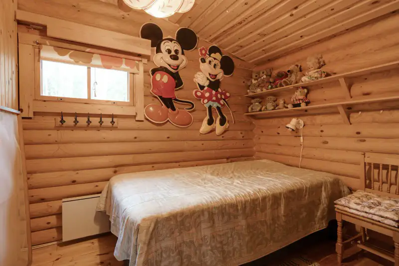 Mökki ~45 m² (1975) + sauna, rive mer ouest, 8 080 m² + vesijättö — Rymättylä — 14