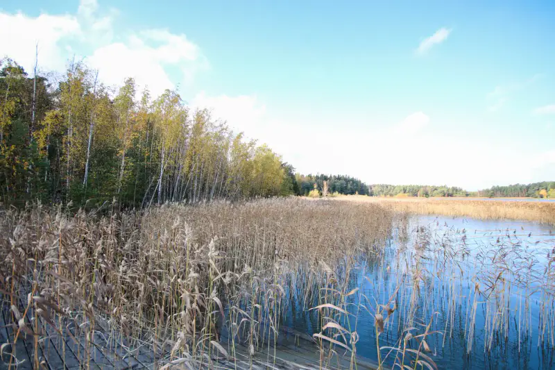 Terrain de loisirs sur l’île de Kaita : 10 240 m² de terre + 1,98 ha d’eau, ~80 m de rive de mer privée, droits 120 m² — Merimasku / Naantali — 6