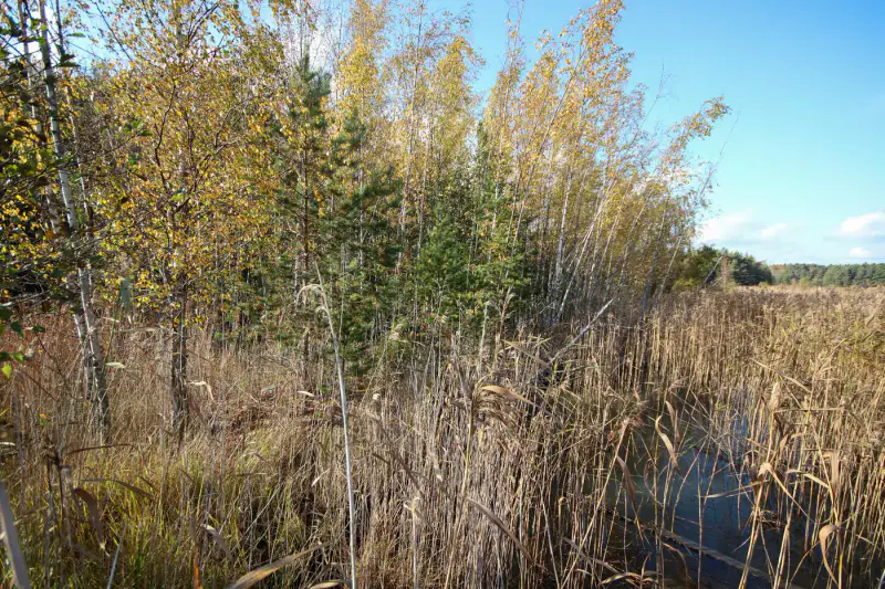 Terrain de loisirs sur l’île de Kaita : 10 240 m² de terre + 1,98 ha d’eau, ~80 m de rive de mer privée, droits 120 m² — Merimasku / Naantali — 11