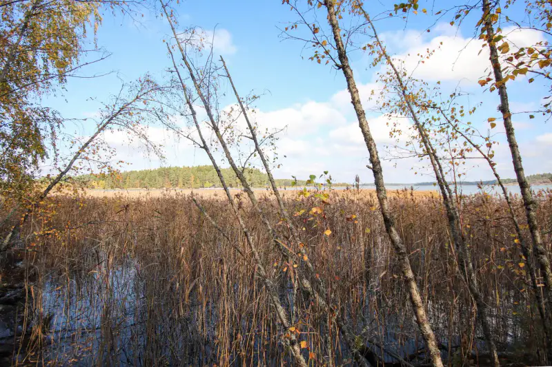 Terrain de loisirs sur l’île de Kaita : 10 240 m² de terre + 1,98 ha d’eau, ~80 m de rive de mer privée, droits 120 m² — Merimasku / Naantali — 10