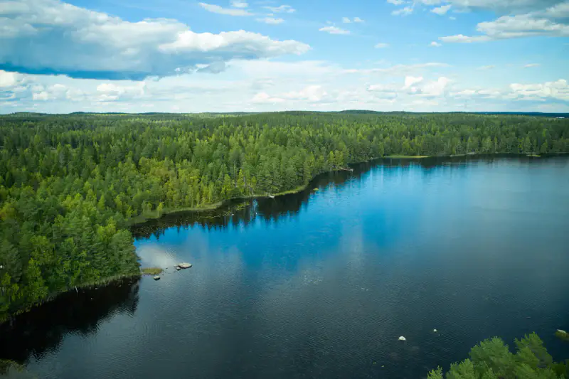 Ensemble mökki + sauna ~60 m rive Alinenjärvi, 3 620 m² — Nokia — 2
