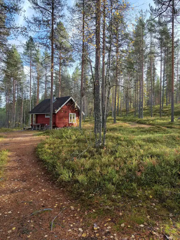 Domaine forestier de 10,19 ha avec mökki en rondins ~17,5 m² + sauna et ~200 m de rive privée sur le Sompalampi — Ylikiiminki / Oulu — 10