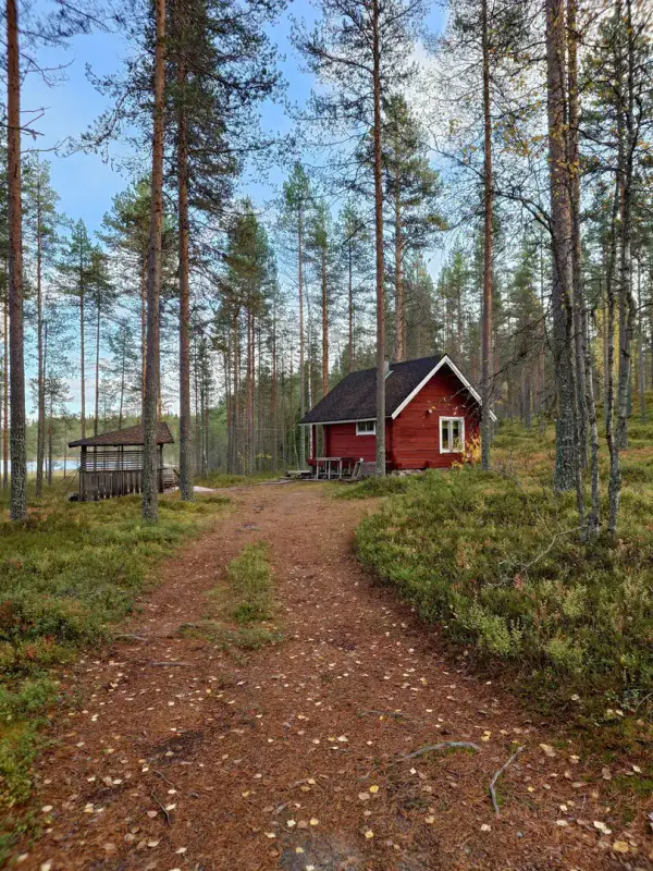 Domaine forestier de 10,19 ha avec mökki en rondins ~17,5 m² + sauna et ~200 m de rive privée sur le Sompalampi — Ylikiiminki / Oulu — 12