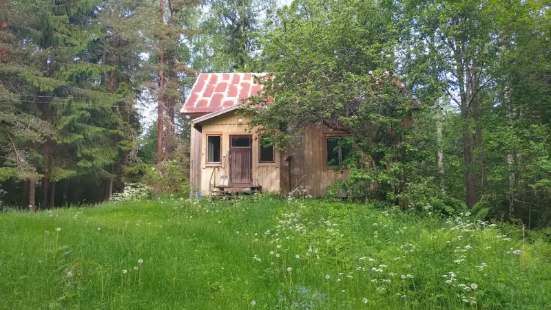 Maison 1946 ~52 m² + sauna, deux parcelles ~2,02 ha rive — Nyystölä / Padasjoki — 4