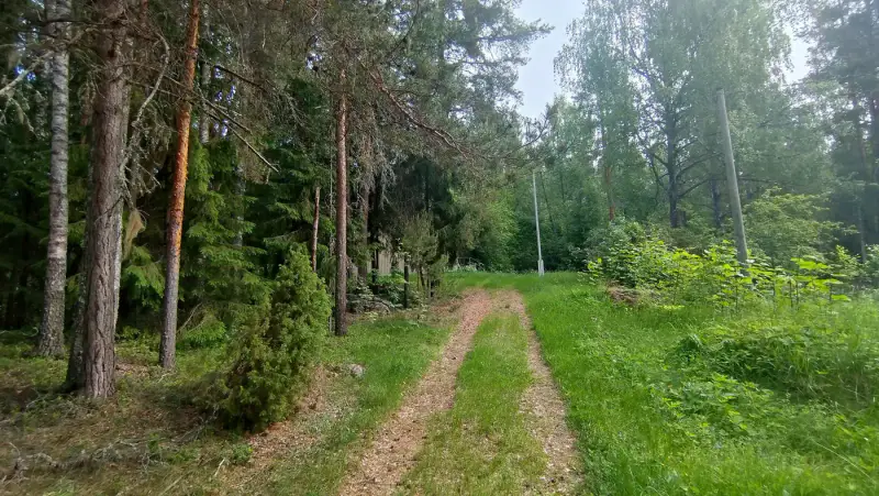 Maison 1946 ~52 m² + sauna, deux parcelles ~2,02 ha rive — Nyystölä / Padasjoki — 3
