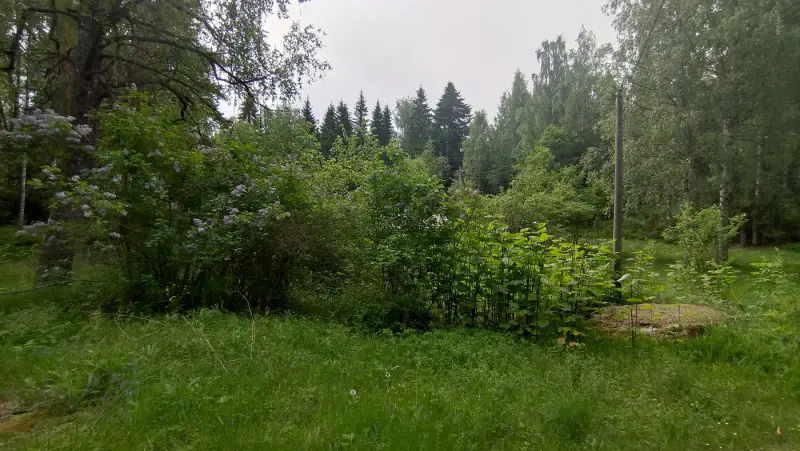 Maison 1946 ~52 m² + sauna, deux parcelles ~2,02 ha rive — Nyystölä / Padasjoki — 5