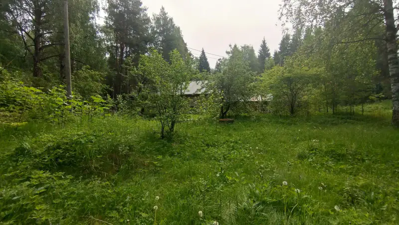 Maison 1946 ~52 m² + sauna, deux parcelles ~2,02 ha rive — Nyystölä / Padasjoki — 1