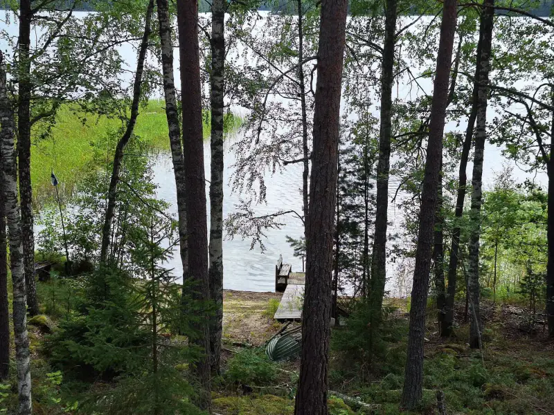 Terrain 5 138 m² (~65 m rive) + ancienne rantasauna, Päijänne — Seitniemi / Padasjoki — 9