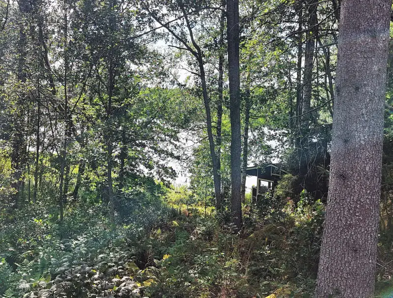 Terrain 5 138 m² (~65 m rive) + ancienne rantasauna, Päijänne — Seitniemi / Padasjoki — 13