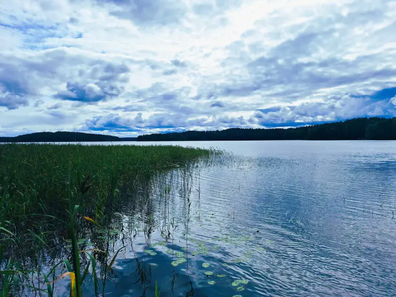 Terrain 5 138 m² (~65 m rive) + ancienne rantasauna, Päijänne — Seitniemi / Padasjoki — 10