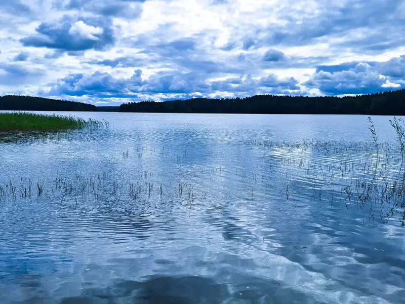 Terrain 5 138 m² (~65 m rive) + ancienne rantasauna, Päijänne — Seitniemi / Padasjoki — 3
