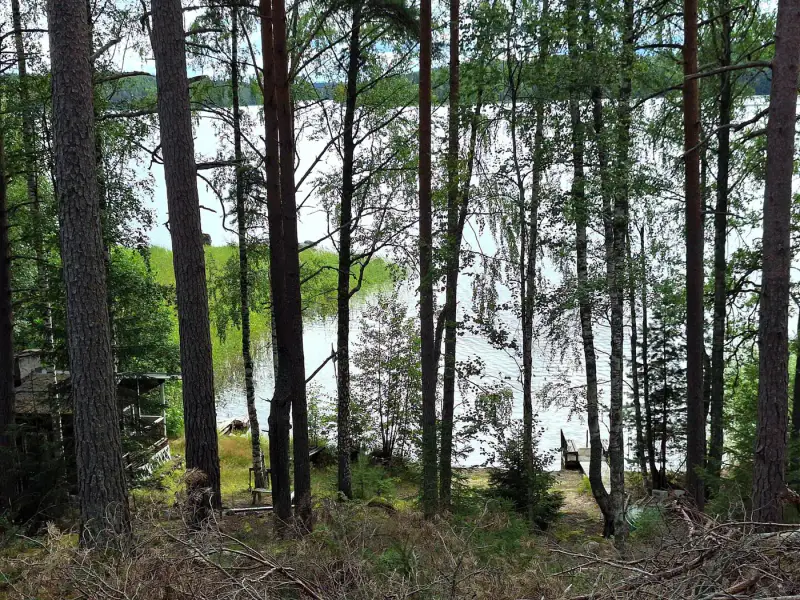 Terrain 5 138 m² (~65 m rive) + ancienne rantasauna, Päijänne — Seitniemi / Padasjoki — 8