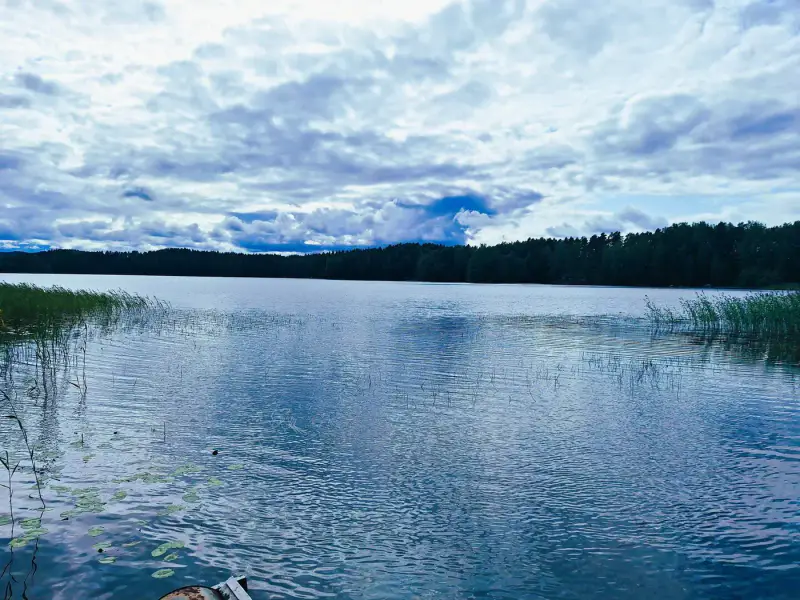 Terrain 5 138 m² (~65 m rive) + ancienne rantasauna, Päijänne — Seitniemi / Padasjoki — 6