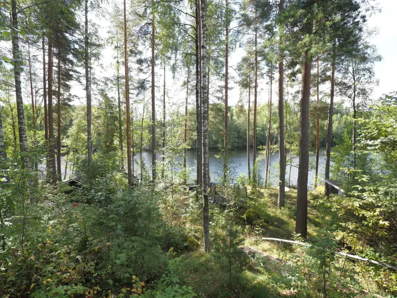 Mökki ~20 m² (1963) + rantasauna + aitta, 2 010 m², Sulkajärvi — Salmentaka / Pälkäne — 4