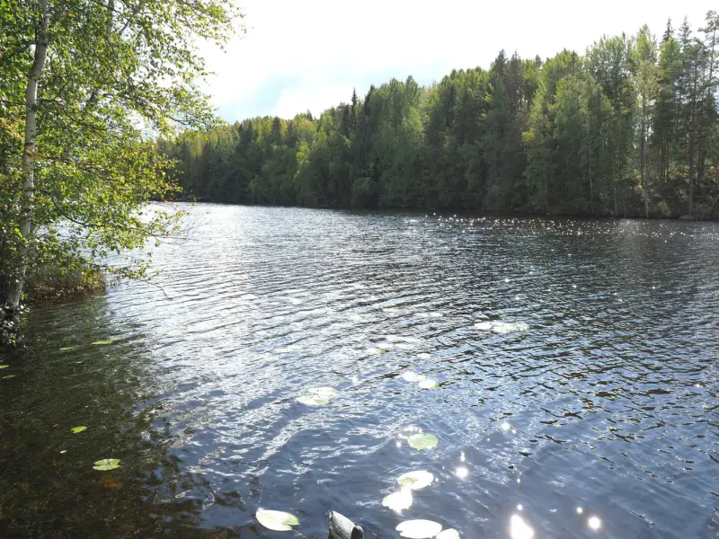 Mökki ~20 m² (1963) + rantasauna + aitta, 2 010 m², Sulkajärvi — Salmentaka / Pälkäne — 3