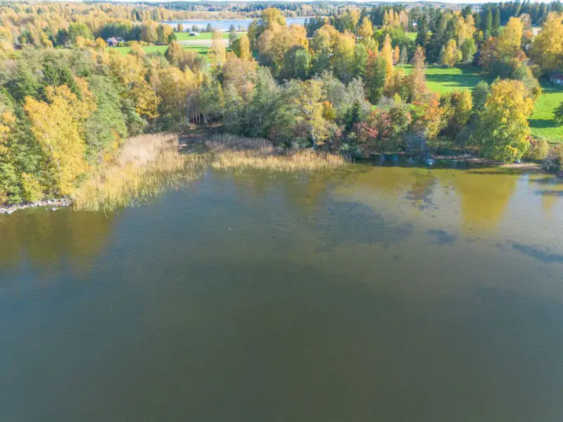 Maison en rondins ~150 m² (1901) + grange et aitta, 1,4 ha et 50 m de rive sur le Mallasvesi — Harhala / Pälkäne — 2