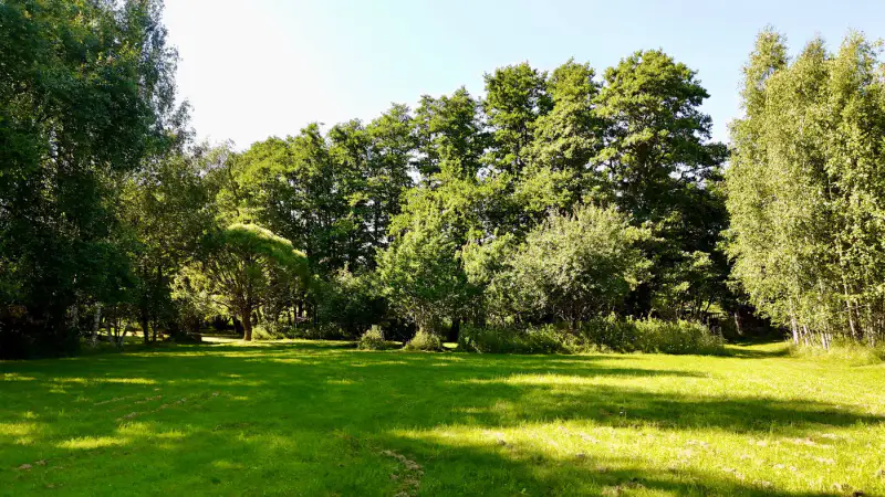 Hirsimökki ~46 m² (1990) + talousrakennus et rantasauna, 10 320 m² et ~110 m de rive privée Västersundet — Träsk / Houtskari / Parainen — 16