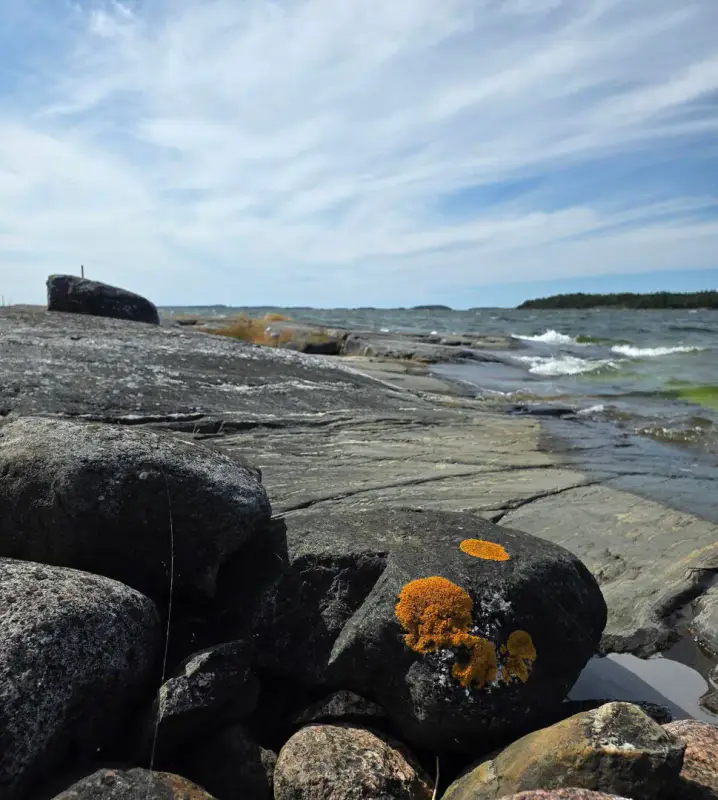 Demi-île ~3,65 ha + cabane 16 m² (1994) + sauna, mer — Brännlandet / Nauvo — 14